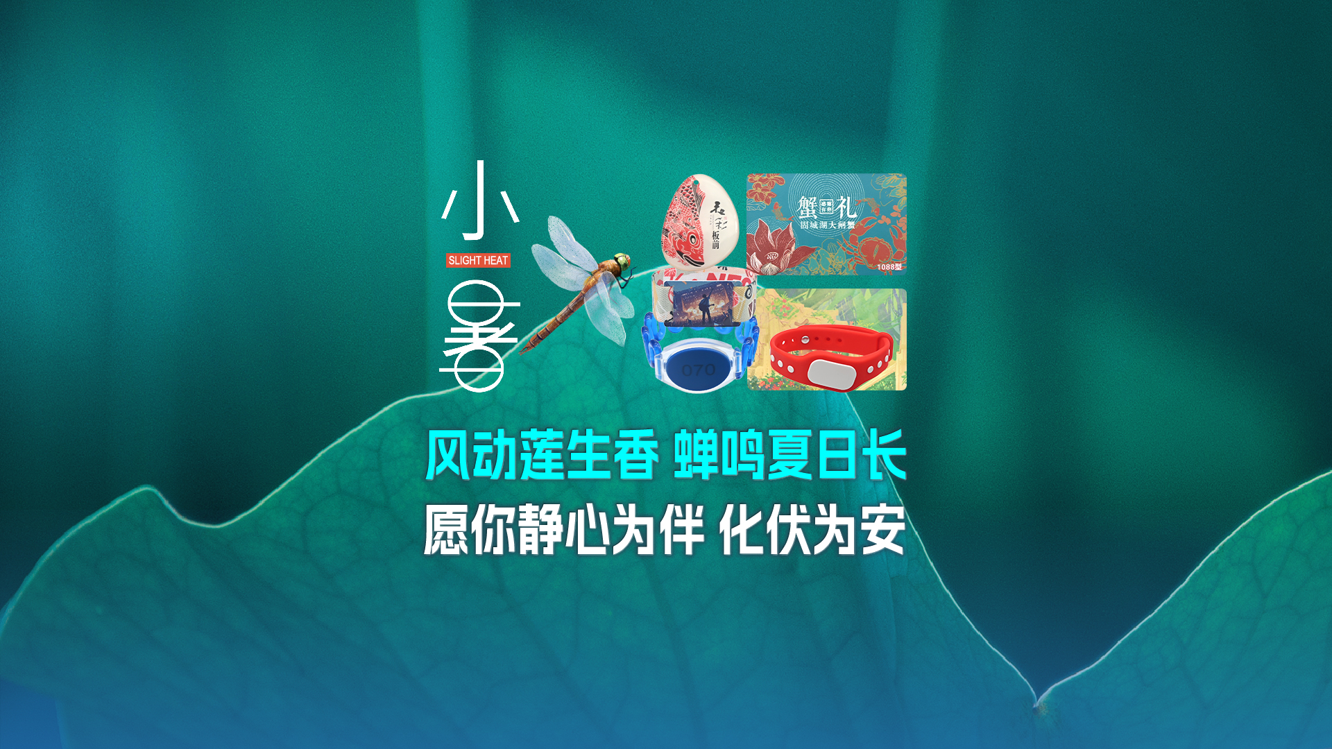 小暑至，卡立方集團(tuán)RFID物聯(lián)網(wǎng)產(chǎn)品熱度攀升